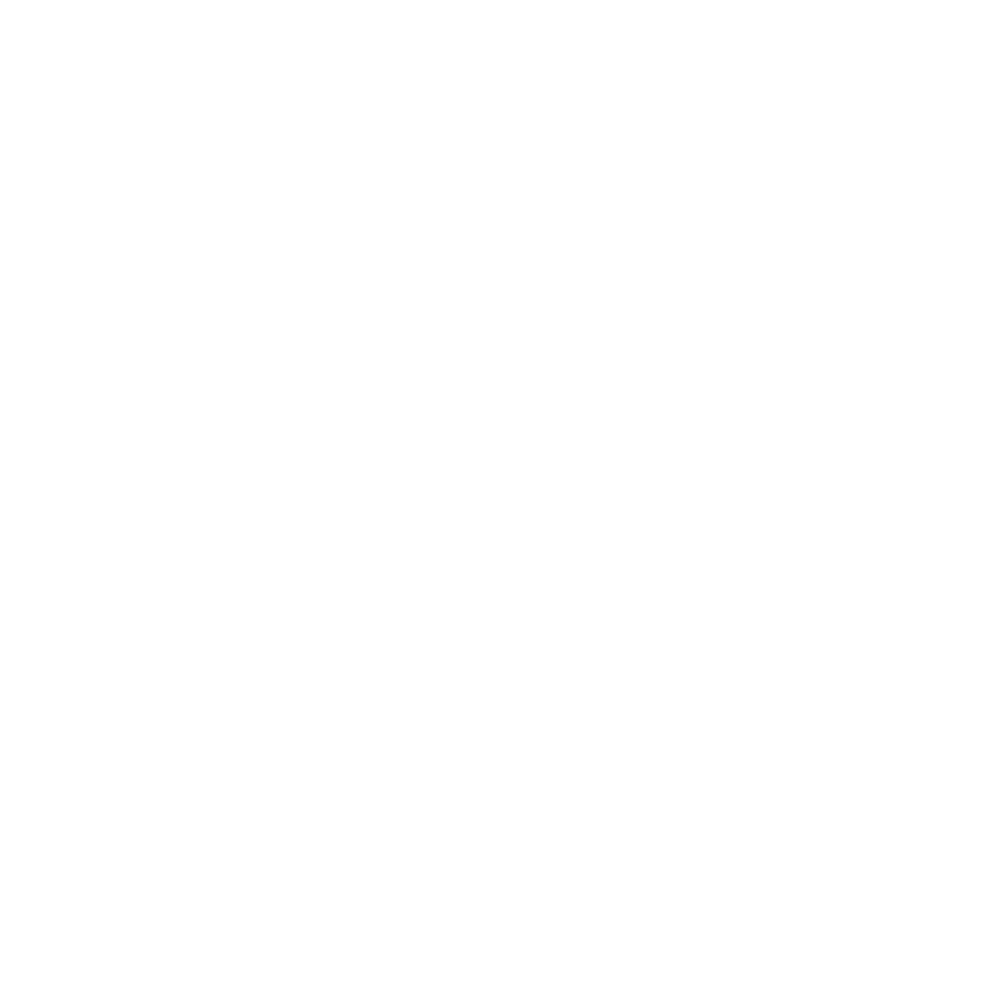 SLX DIGITAL